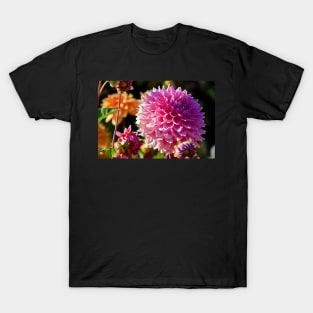 Canada. BC. Butchart gardens. Flowers of Autumn. T-Shirt